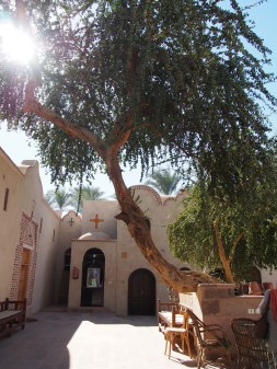 Vanhan puun varjostama luostarin sisäpiha. @Stella Thompson